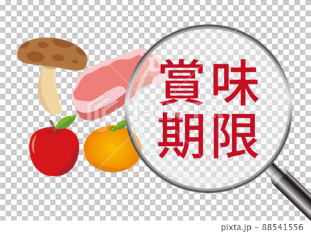 賞味期限 88541556