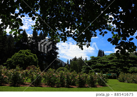 ニュージーランド_クイーンズタウン200 ニュージーランド_クイーンズタウン200 88541675