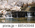 桜　川辺 88543048