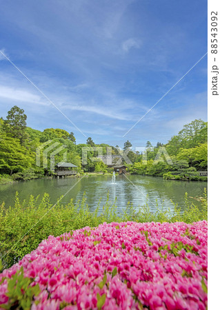 新緑の東山動植物園 新緑の東山動植物園 88543092