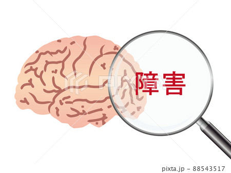 障害 88543517