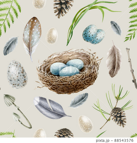 Forest elements seamless pattern. Watercolor illustration. Hand drawn birds nest, eggs, feathers, fern and pine branches in seamless pattern. Wildlife nature decor 88543576