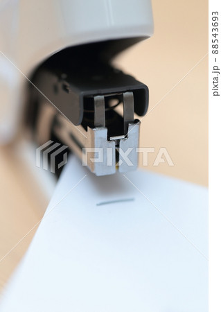 書類をホッチキスで纒める 書類をホッチキスで纒める 88543693