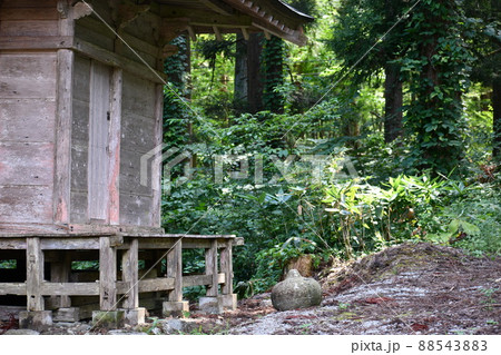 夏の日の鬱蒼と茂る山の麓にある瑞龍院 88543883