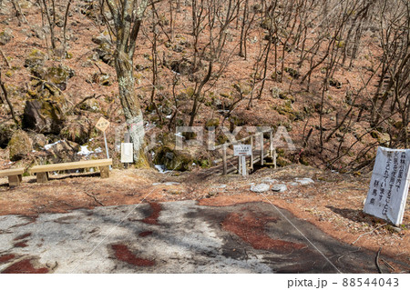 伊香保森林公園 オンマ谷 伊香保森林公園 オンマ谷 88544043