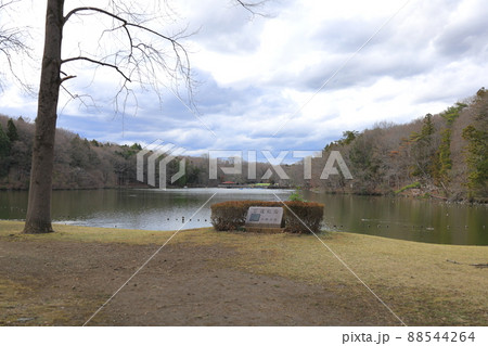 井頭公園/栃木県真岡市 井頭公園/栃木県真岡市 88544264