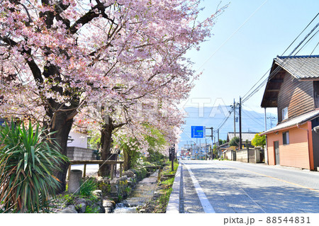 雄川堰/小幡(群馬県甘楽町)【2022.4】 雄川堰/小幡(群馬県甘楽町)【2022.4】 88544831