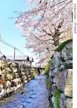 雄川堰／小幡(群馬県甘楽町)【2022.4】 88544834