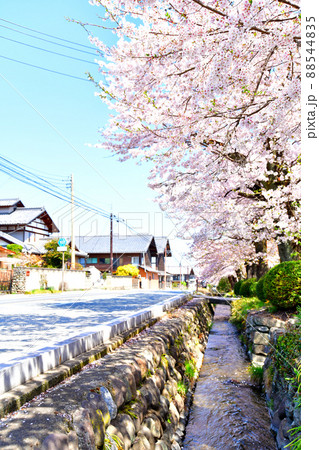 雄川堰／小幡(群馬県甘楽町)【2022.4】 88544835