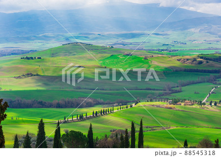 世界遺産 トスカーナの田園風景 イタリアの写真素材 [88545318] - PIXTA