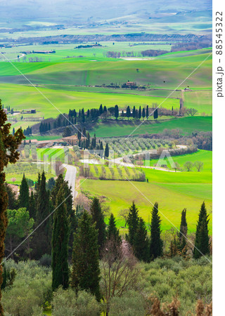 世界遺産　トスカーナの田園風景　イタリア 88545322