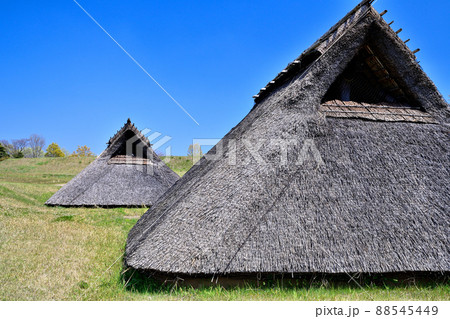佐賀県　吉野ヶ里歴史公園 88545449