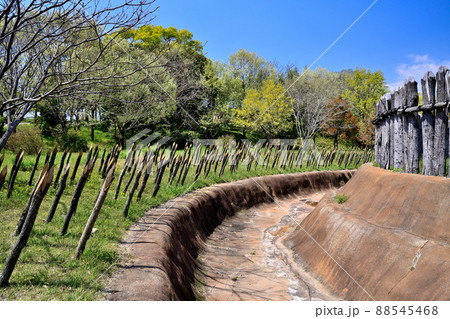 佐賀県　吉野ヶ里歴史公園 88545468