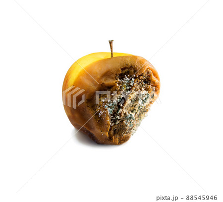 Rotten apple close-up on a white background 88545946
