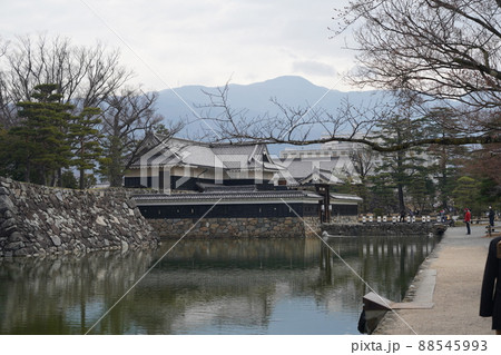 桜 2022年4月 桜 2022年4月 88545993