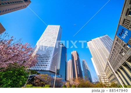日本の東京都市景観 夕日を浴びる東京都庁や桜（ゴテンバザクラ）、上空を通過する航空機などを望む 88547940