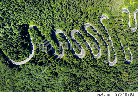 Aerial top view of a winding road in green forest 88548593