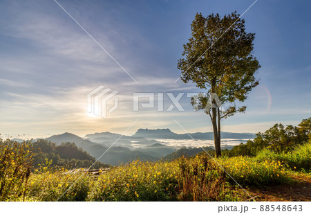 Beautiful landscape in the morning at Doi Luang Chiang Dao, Chiang Mai, Thailand Beautiful landscape in the morning at Doi Luang Chiang Dao, Chiang Mai, Thailand 88548643