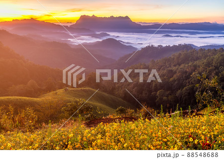 Beautiful landscape in the morning at Doi Luang Chiang Dao, Chiang Mai, Thailand Beautiful landscape in the morning at Doi Luang Chiang Dao, Chiang Mai, Thailand 88548688