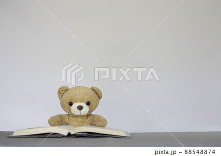 Brown teddy bears sitting on a white background reading a book. Concept back to school, education.And free space for your text. Brown teddy bears sitting on a white background reading a book. Concept back to school, education.And free space for your text. 88548874