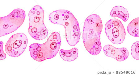 Watercolor horizontal seamless border of pink purple cells microalgae microorganisms, microscope bio algae. Concept for cosmetics medicine healthcare print design. Pastel ameoba bacteria, soft oval Watercolor horizontal seamless border of pink purple cells microalgae microorganisms, microscope bio algae. Concept for cosmetics medicine healthcare print design. Pastel ameoba bacteria, soft oval 88549016