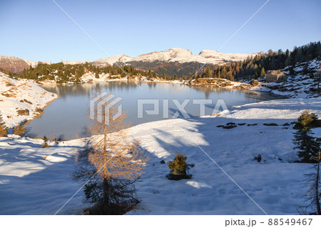 Colbricon lakes winter view, San martino di Castrozza, Italy Colbricon lakes winter view, San martino di Castrozza, Italy 88549467