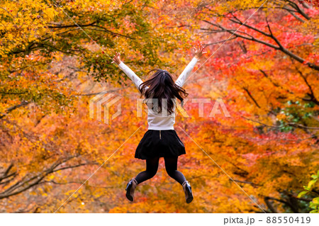 秋、紅葉に染まる世界にジャンプ 88550419