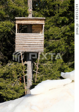 bird watchers cottage high in the trees in a snowy landscape in winter bird watchers cottage high in the trees in a snowy landscape in winter 88551244