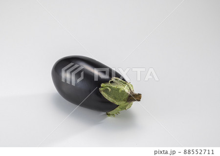 新鮮で美味しい米茄子 88552711