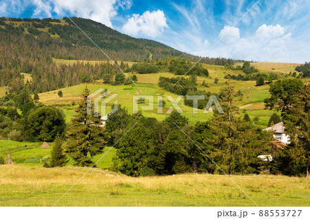 mountain landscape of carpathian alps. area of podobovets village at the foot of borzhava ridge. scenery with fresh green meadows and spruce trees in the distance. natural rural environment in summer mountain landscape of carpathian alps. area of podobovets village at the foot of borzhava ridge. scenery with fresh green meadows and spruce trees in the distance. natural rural environment in summer 88553727