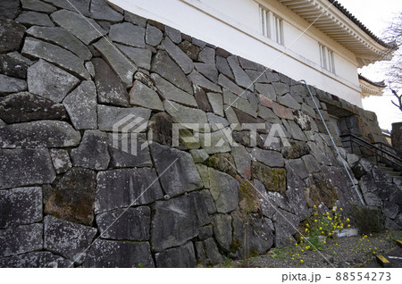 千葉県立中央博物館大多喜城分館の石垣 88554273