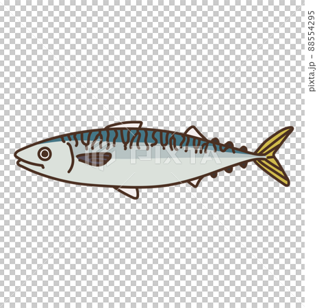 海の生き物 イラスト 水産物 海産物 さば 海の生き物 イラスト 水産物 海産物 さば 88554295