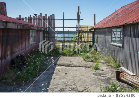 海辺の風景	 88554380