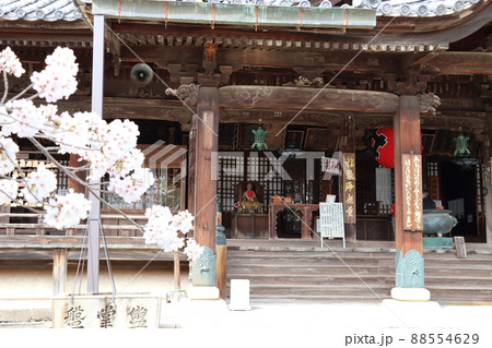 粉河寺 88554629