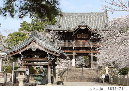 粉河寺 粉河寺 88554714