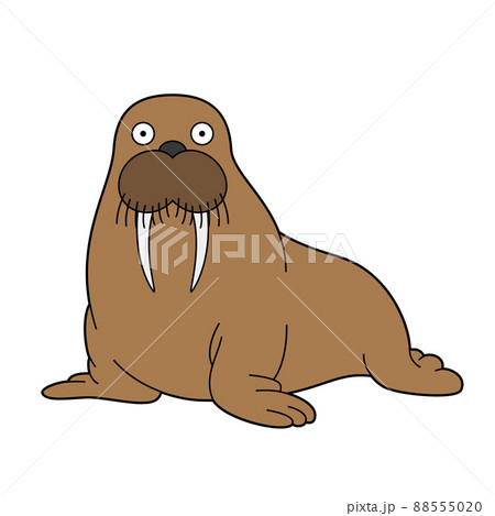 Cartoon Fat Walrus With Big Tusks. Vector Illustration Royalty Free SVG,  Cliparts, Vectors, and Stock Illustration. Image 90880621.