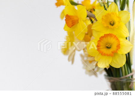 花瓶に生けた黄色い水仙の花と麦の穂 花瓶に生けた黄色い水仙の花と麦の穂 88555081