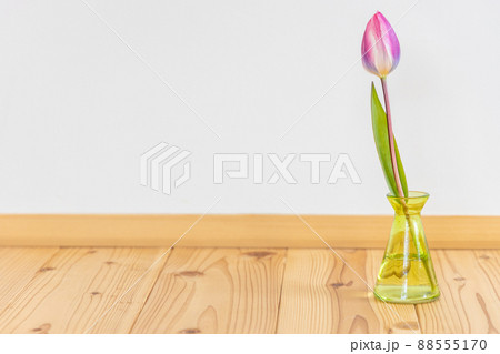 花瓶に生けたピンクのチューリップの花 花瓶に生けたピンクのチューリップの花 88555170