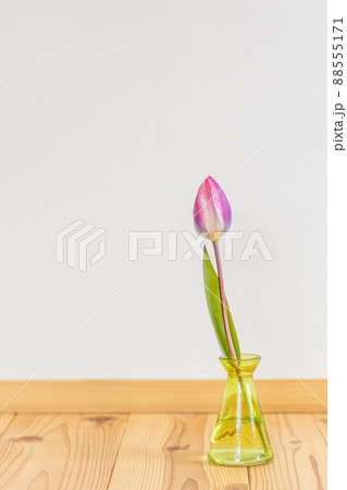 花瓶に生けたピンクのチューリップの花 88555171