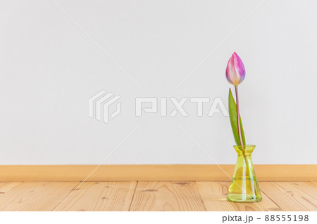 花瓶に生けたピンクのチューリップの花 花瓶に生けたピンクのチューリップの花 88555198