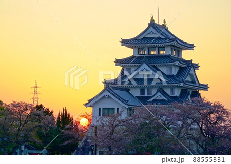 桜咲く墨俣一夜城と朝焼け 88555331