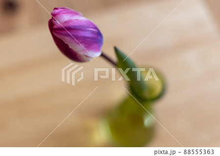 花瓶に生けたピンクのチューリップの花を上から見たところ 88555363