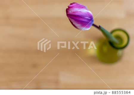 花瓶に生けたピンクのチューリップの花を上から見たところ 88555364