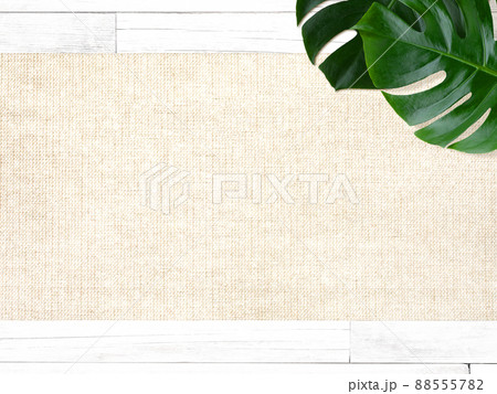 南国をイメージしたナチュラルな背景素材 南国をイメージしたナチュラルな背景素材 88555782
