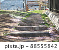 桜散る公園の石階段 88555842