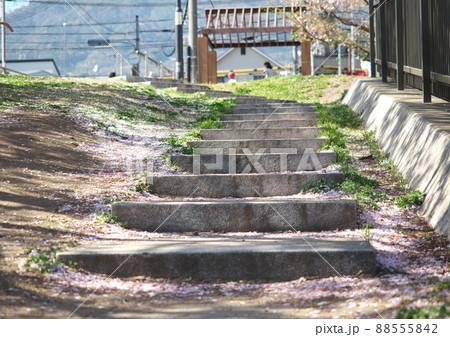 桜散る公園の石階段 桜散る公園の石階段 88555842