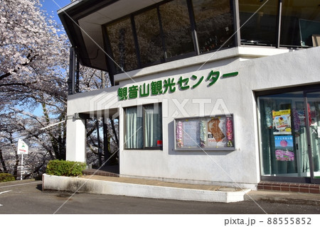 群馬県高崎市　観音山観光センター（観音山頂有料駐車場）と満開の桜 88555852