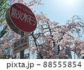 防火水そうの標識と桜 88555854