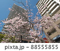 桜咲く 高層マンション(ウェルブ六甲道) 88555855