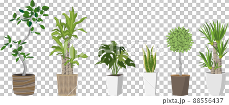 観葉植物セット 88556437